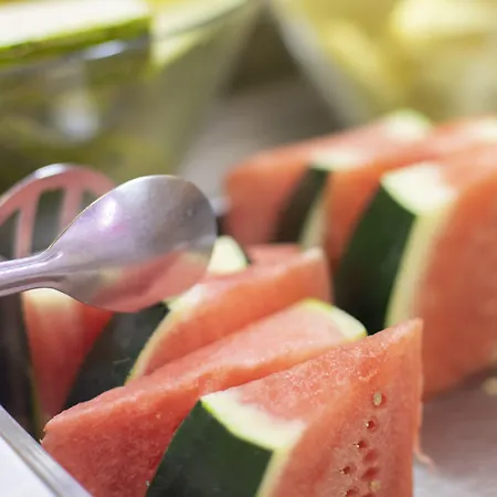 La Terrassa فندق